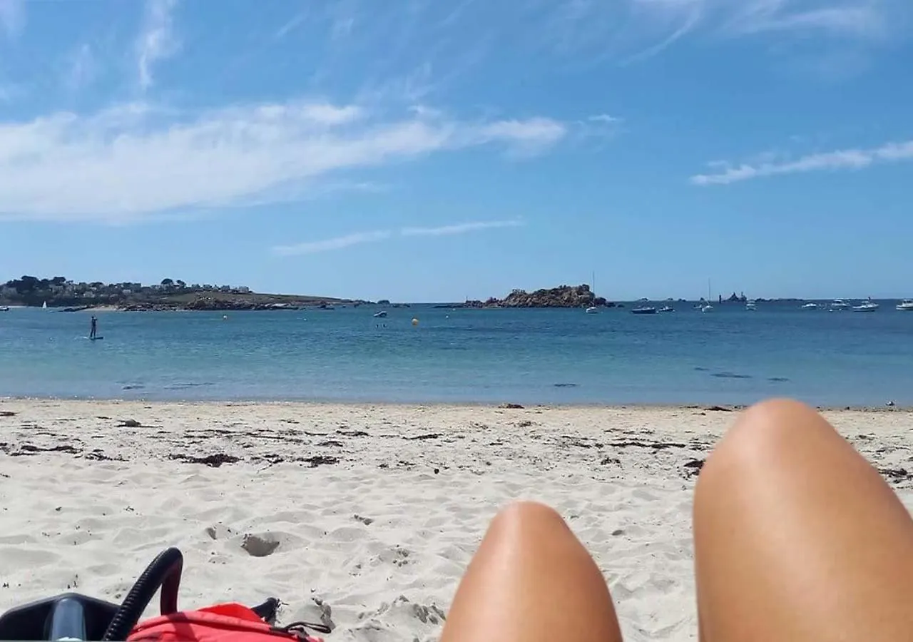 Les Portsallaises Piscine Ou Spa A 300M De La Plage Ploudalmezeau